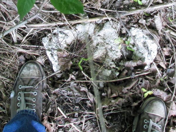 mike watt's self-portrait of him pissing behind in woods behind train station in jihlava, czech republic on may 26, 2015