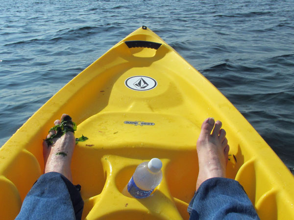 mike watt paddling in pugent sound on september 21, 2014