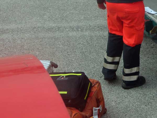 watt's 'mansack' getting loaded on plane for flight between dusseldorf and berlin, germany on september 20, 2016