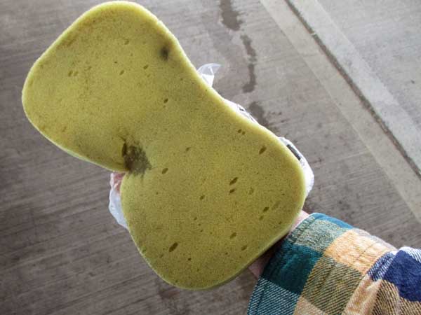 a sponge to use instead of a squeegee at a filling staton somewhere near birmingham, england on october 6, 2016