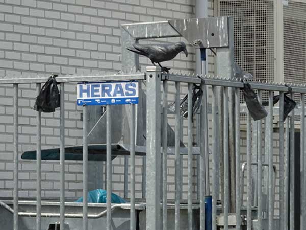 technique used to keep birds away from dumpsters at fuel stop on the way to amsterdam on august 6, 2019