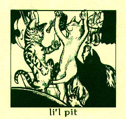 shot of the li'l pit debut 7 inch sleeve