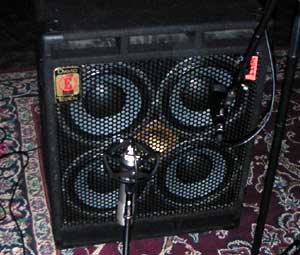 one of watt's eden d410xlt speaker boxes