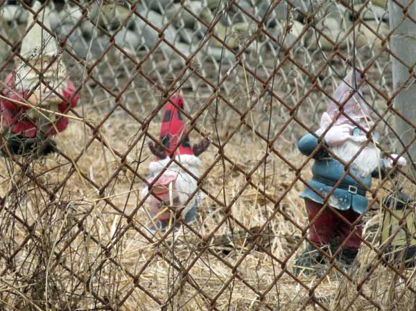 closeup of the yard of the 'gnome house' near 'winters tavern' in pacifica, ca on september 13, 2023