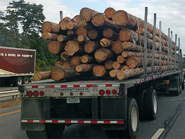 truck near schenectady, ny on the way to holyoke, ma on october 12, 2023