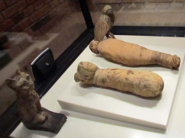 cat + bird mummies at the neue museum in berlin, germany on july 31, 2012