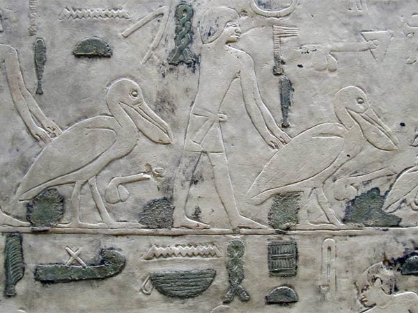 old egyptian stela with pelicans at the neue museum in berlin, germany on july 31, 2012
