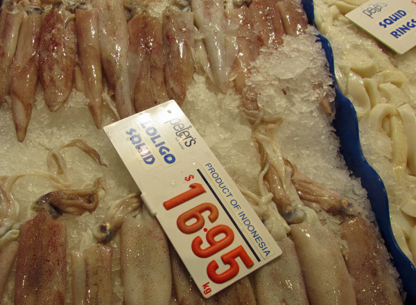 squid at the sydney fish market