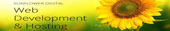 sunflower digital web development & hosting