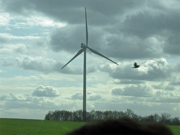 on the way to angouleme, france on march 1, 2014