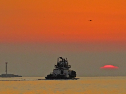 sunrise in pedro this morning on my sixone bday - tug headed out the angels gate...